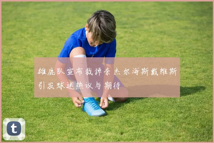 雄鹿队宣布裁掉奈杰尔海斯戴维斯引发球迷热议与期待
