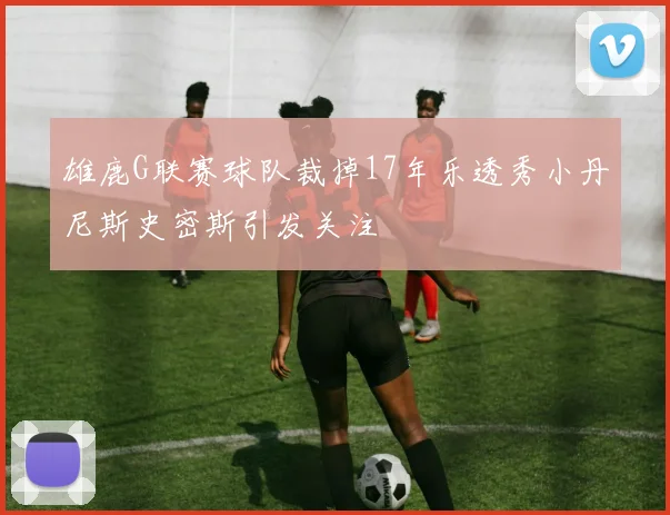 雄鹿G联赛球队裁掉17年乐透秀小丹尼斯史密斯引发关注